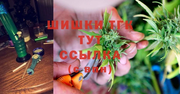 ГАЛЛЮЦИНОГЕННЫЕ ГРИБЫ Бердск