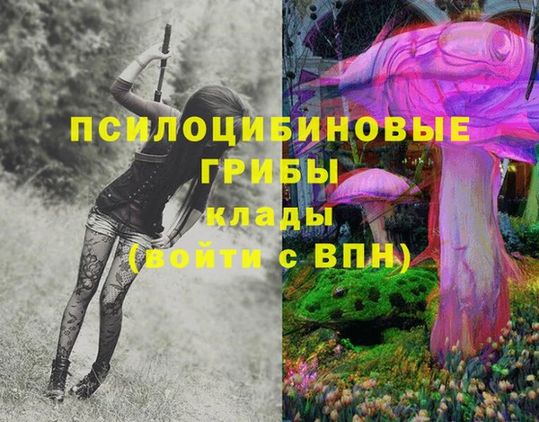 МДПВ Майский