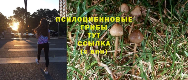стафф Липки