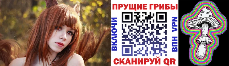 где можно купить Строитель Псилоцибиновые грибы ЛСД