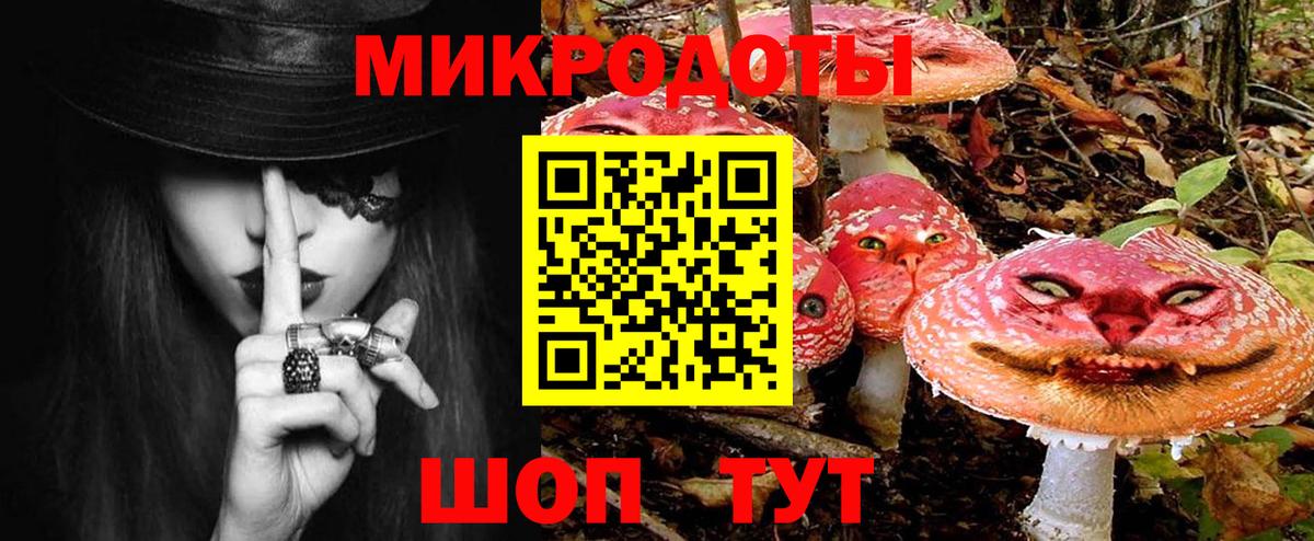 Псилоцибиновые грибы Cubensis Строитель