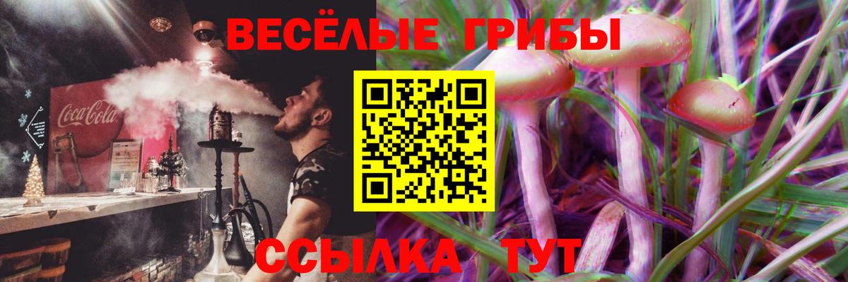 Галлюциногенные грибы прущие грибы  Вход с VPN  Псилоцибиновые грибы MAGIC MUSHROOMS  Строитель 